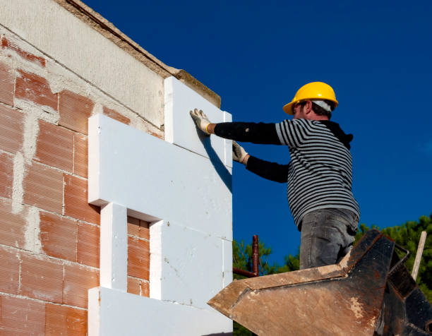 Best Residential Insulation Services  in Coal Valley, IL